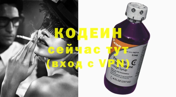 СК Новозыбков