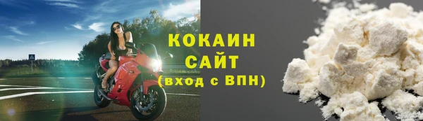СК Новозыбков