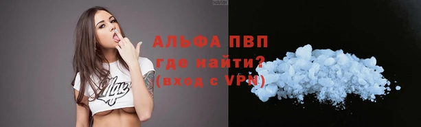 СК Новозыбков
