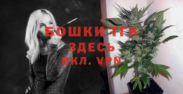 СК Новозыбков